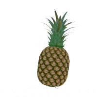 ananas qui tourne